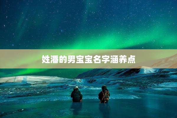 姓潘的男宝宝名字涵养点