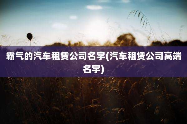 霸气的汽车租赁公司名字(汽车租赁公司高端名字)