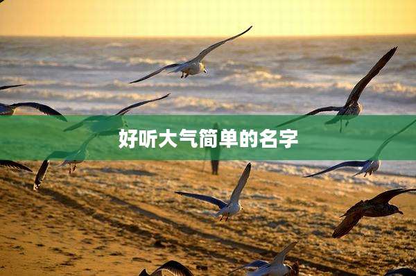 好听大气简单的名字