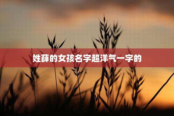 姓薛的女孩名字超洋气一字的