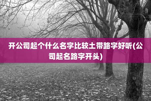开公司起个什么名字比较土带路字好听(公司起名路字开头)