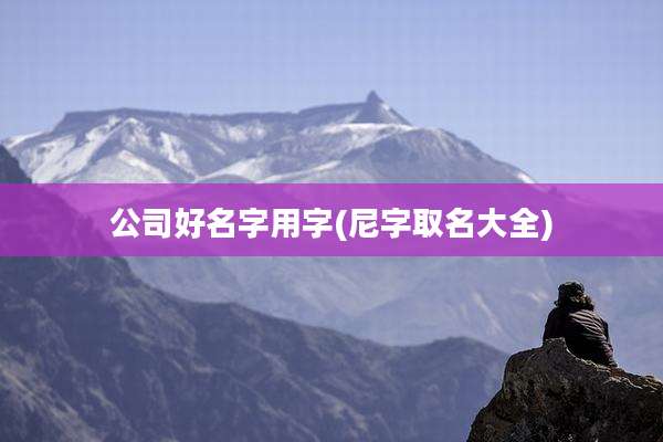 公司好名字用字(尼字取名大全)