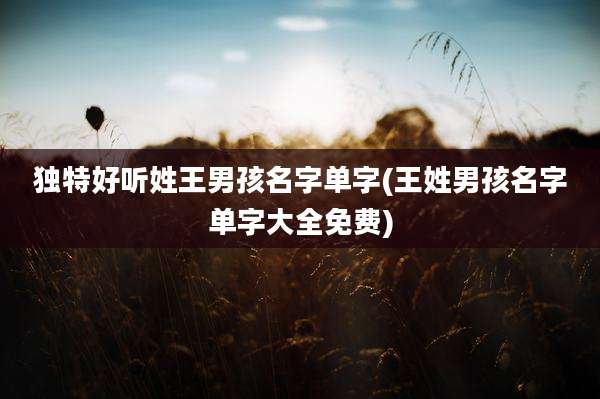 独特好听姓王男孩名字单字(王姓男孩名字单字大全免费)