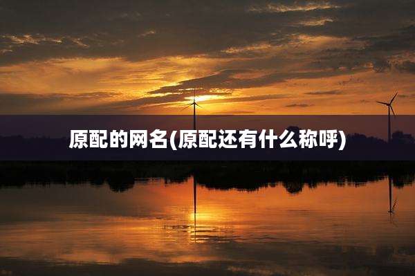 原配的网名(原配还有什么称呼)