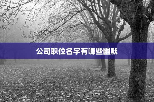 公司职位名字有哪些幽默