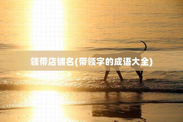 领带店铺名(带领字的成语大全)