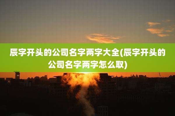 辰字开头的公司名字两字大全(辰字开头的公司名字两字怎么取)