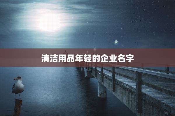 清洁用品年轻的企业名字