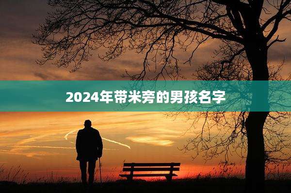 2024年带米旁的男孩名字