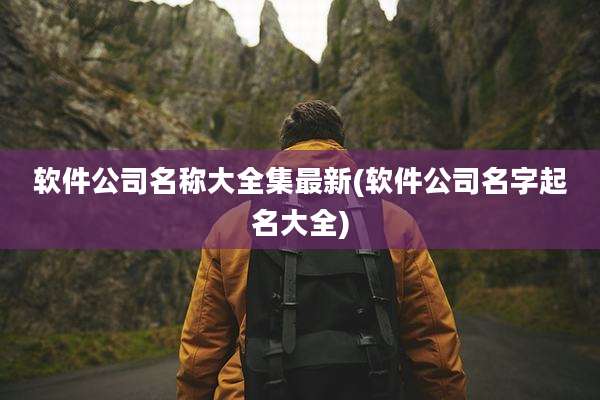 软件公司名称大全集最新(软件公司名字起名大全)