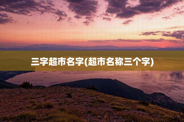 三字超市名字(超市名称三个字)