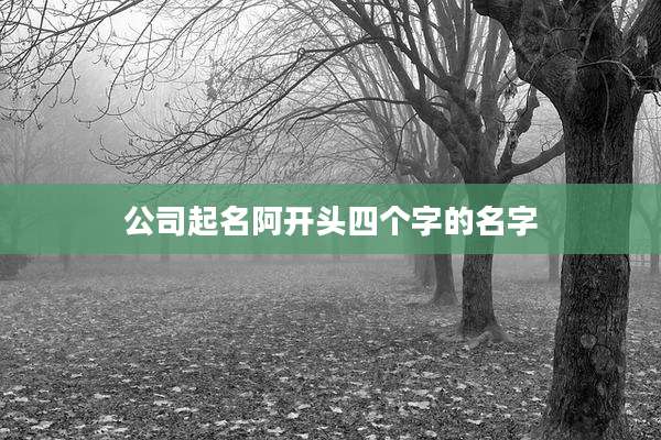 公司起名阿开头四个字的名字