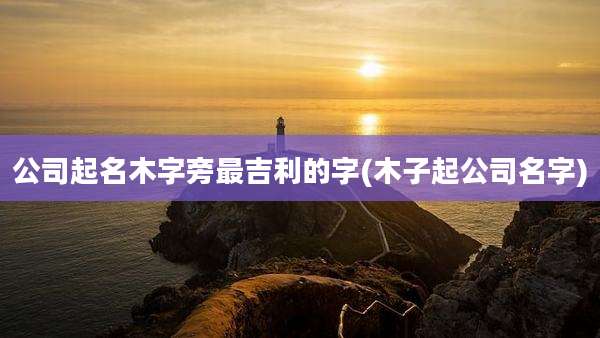 公司起名木字旁最吉利的字(木子起公司名字)