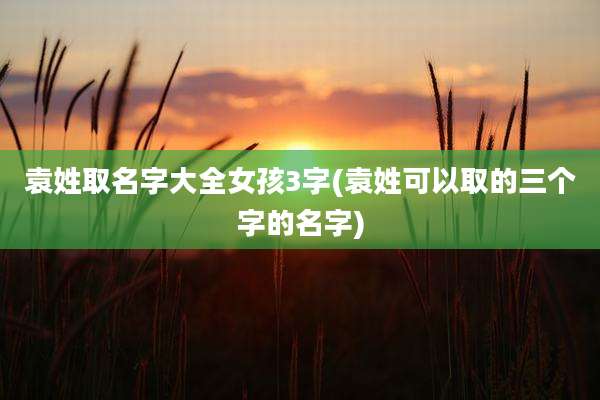 袁姓取名字大全女孩3字(袁姓可以取的三个字的名字)