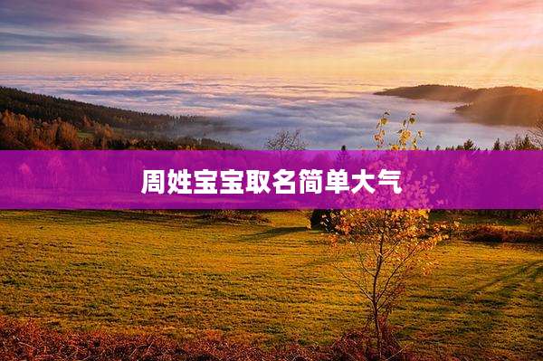 周姓宝宝取名简单大气