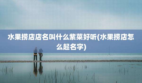 水果捞店店名叫什么紫菜好听(水果捞店怎么起名字)