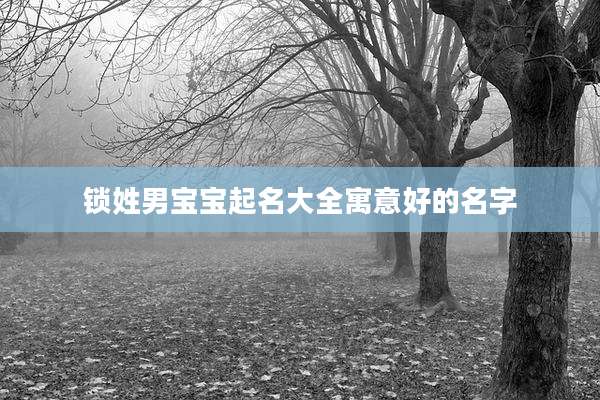 锁姓男宝宝起名大全寓意好的名字