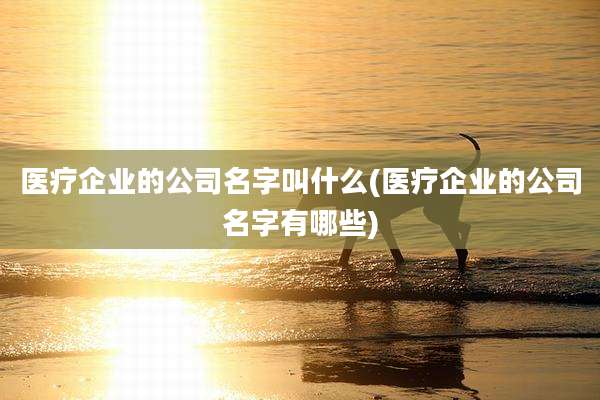 医疗企业的公司名字叫什么(医疗企业的公司名字有哪些)