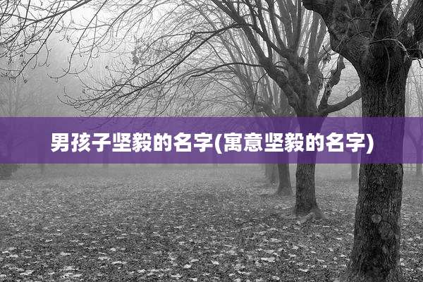 男孩子坚毅的名字(寓意坚毅的名字)