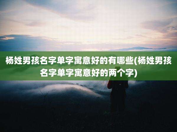 杨姓男孩名字单字寓意好的有哪些(杨姓男孩名字单字寓意好的两个字)