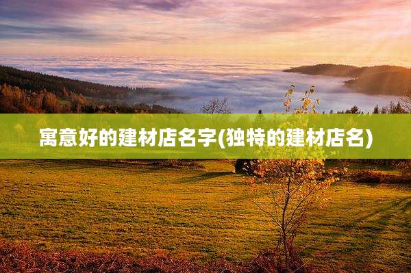 寓意好的建材店名字(独特的建材店名)