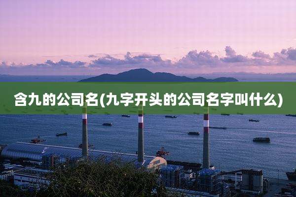 含九的公司名(九字开头的公司名字叫什么)
