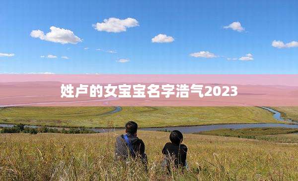 姓卢的女宝宝名字浩气2023