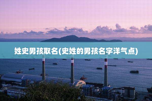 姓史男孩取名(史姓的男孩名字洋气点)