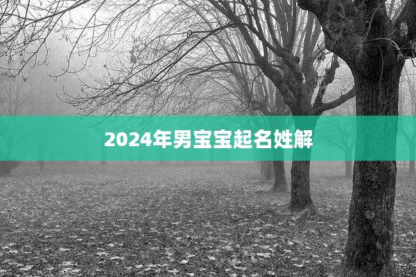 2024年男宝宝起名姓解