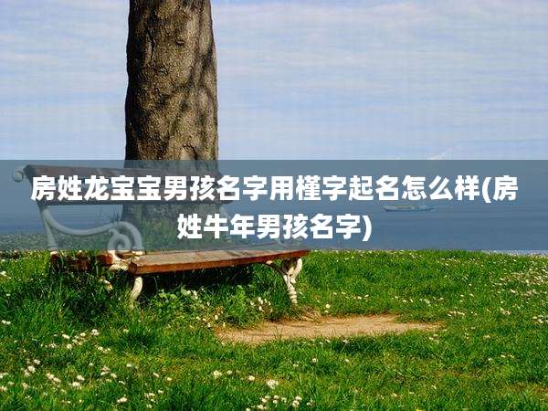 房姓龙宝宝男孩名字用槿字起名怎么样(房姓牛年男孩名字)
