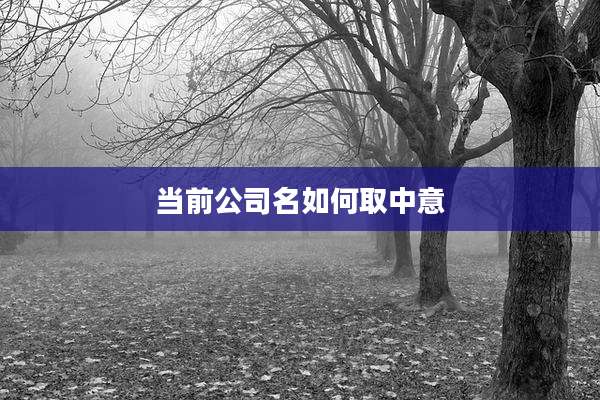 当前公司名如何取中意