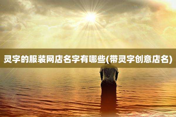 灵字的服装网店名字有哪些(带灵字创意店名)