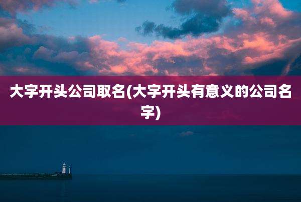 大字开头公司取名(大字开头有意义的公司名字)