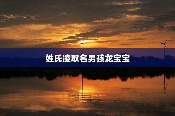 姓氏凌取名男孩龙宝宝