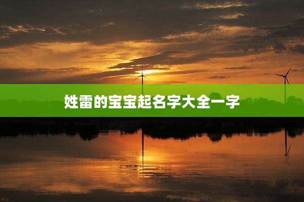 姓雷的宝宝起名字大全一字