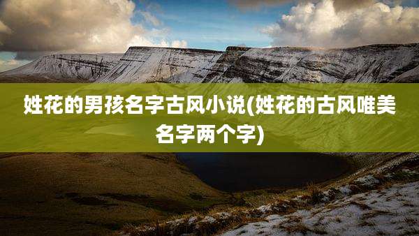 姓花的男孩名字古风小说(姓花的古风唯美名字两个字)