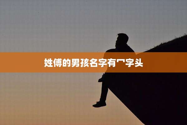 姓傅的男孩名字有冖字头