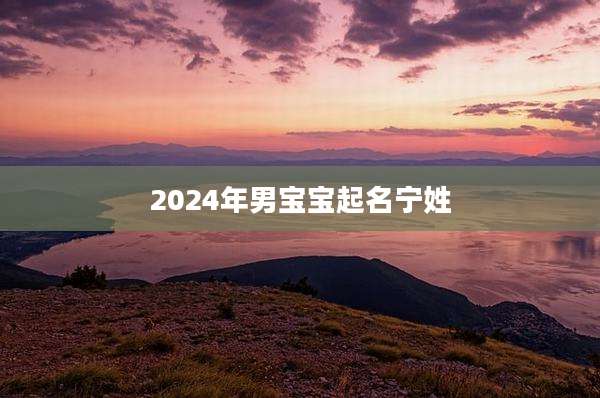 2024年男宝宝起名宁姓