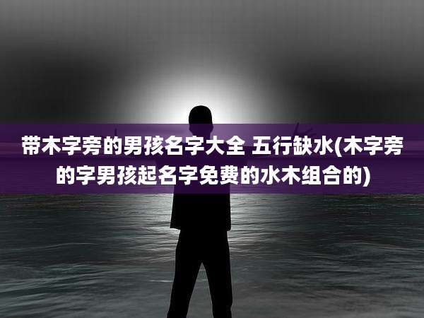 带木字旁的男孩名字大全 五行缺水(木字旁的字男孩起名字免费的水木组合的)