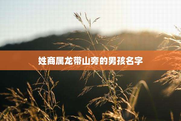 姓商属龙带山旁的男孩名字