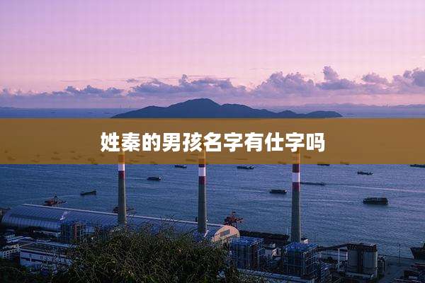 姓秦的男孩名字有仕字吗