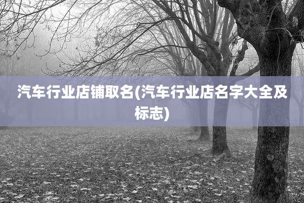 汽车行业店铺取名(汽车行业店名字大全及标志)