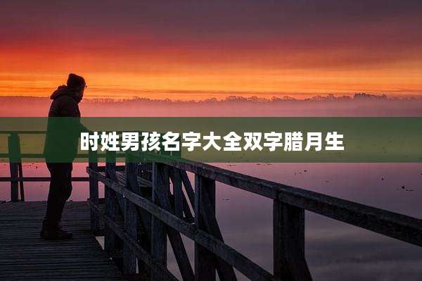 时姓男孩名字大全双字腊月生