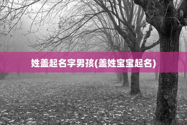 姓盖起名字男孩(盖姓宝宝起名)