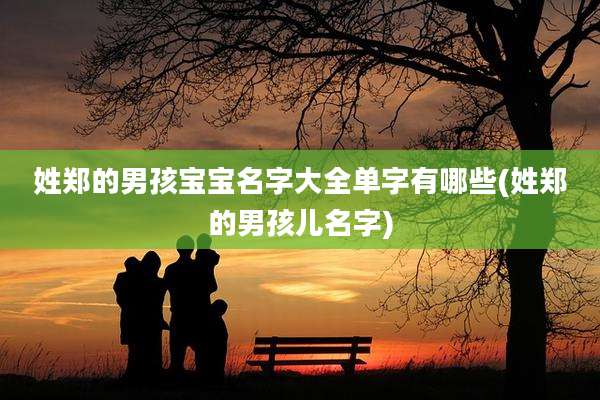 姓郑的男孩宝宝名字大全单字有哪些(姓郑的男孩儿名字)