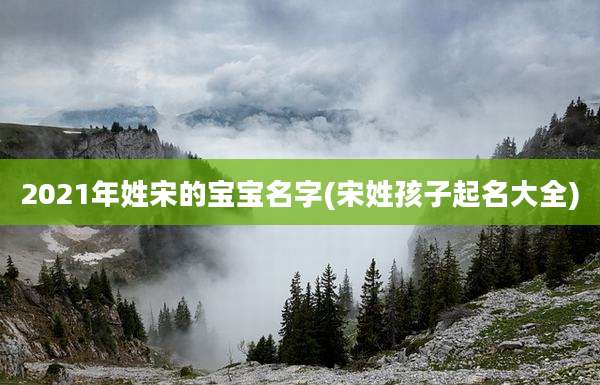 2021年姓宋的宝宝名字(宋姓孩子起名大全)