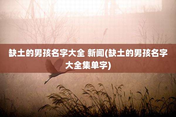 缺土的男孩名字大全 新闻(缺土的男孩名字大全集单字)