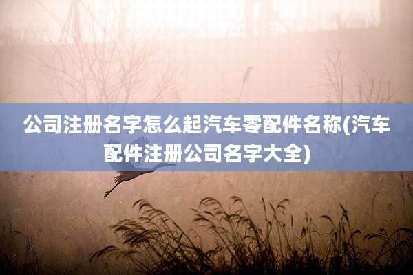 公司注册名字怎么起汽车零配件名称(汽车配件注册公司名字大全)