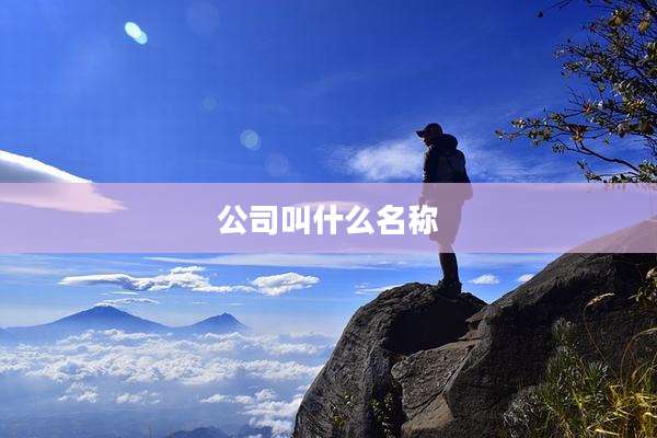 公司叫什么名称