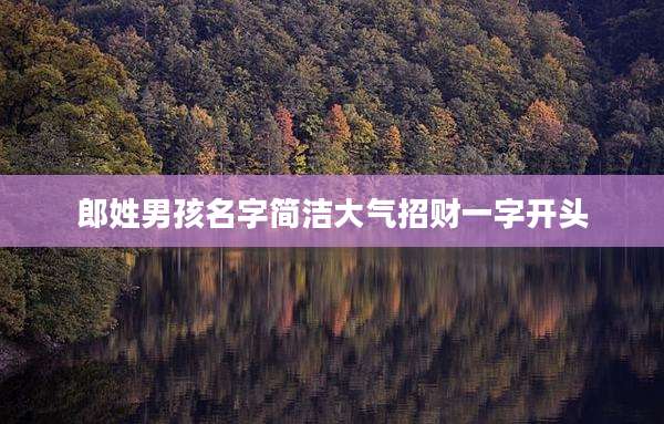 郎姓男孩名字简洁大气招财一字开头